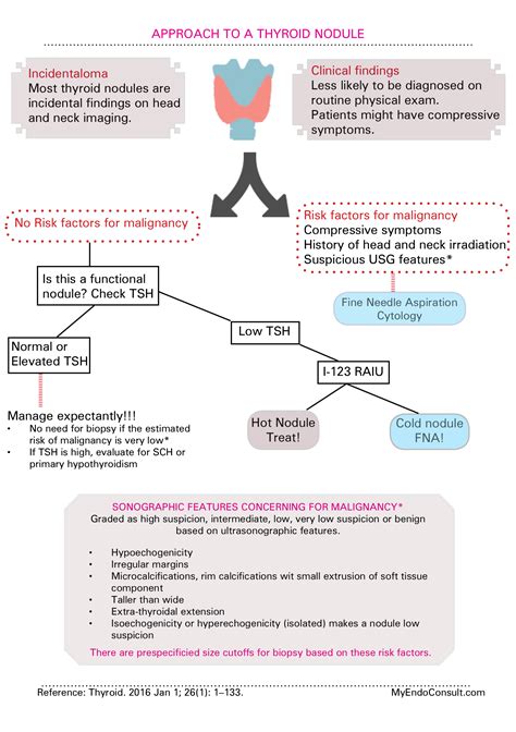 Radiology Thyroid Nodule Guidelines at Zoe Trout blog