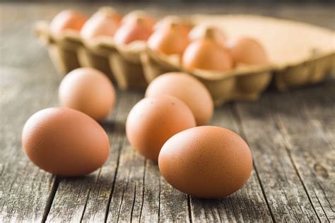 Are Rhode Island Red Chickens Good Egg Layers at Lindsay Mullen blog