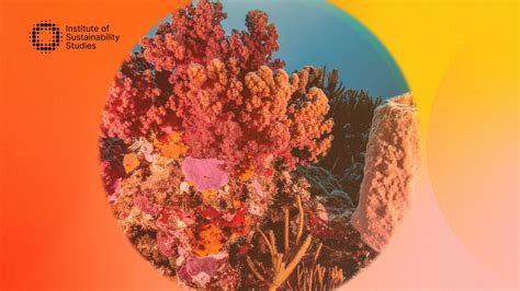 ISSB sustainability standards to be adopted in 36 jurisdictions