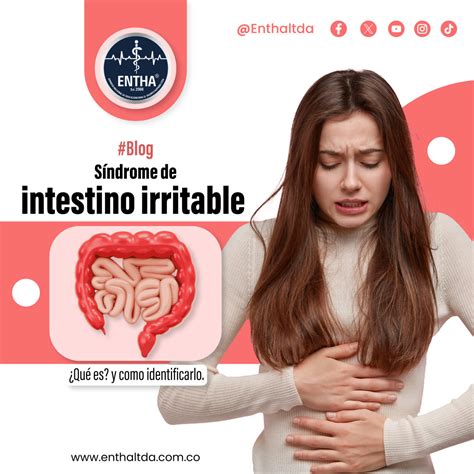 Síndrome de intestino irritable: ¿qué es? y como identificarlo - ENTHA
