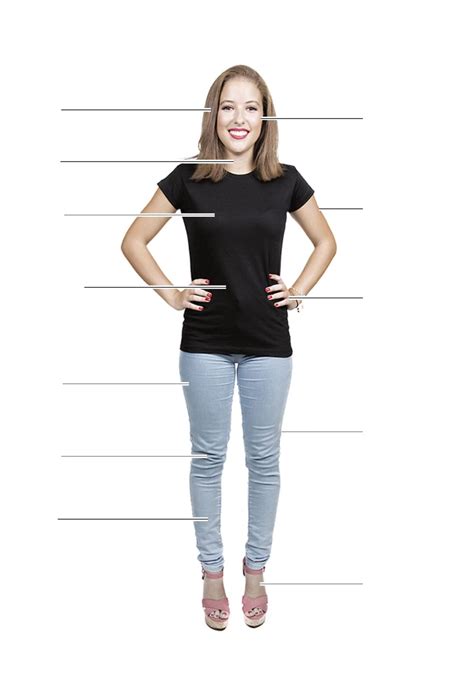 Muslo de Pierna en Inglés: Anatomía y Término | CEI