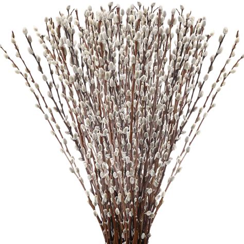 Thiccywoov 40 Stems 31.5'' Real Dried Pussy Willow Branches for Vases ...