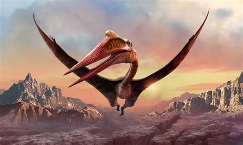 What Were the Largest Flying Dinosaurs? - IMP WORLD