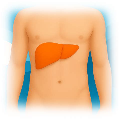 Hepatic Function Panel Test | Ulta Lab Tests