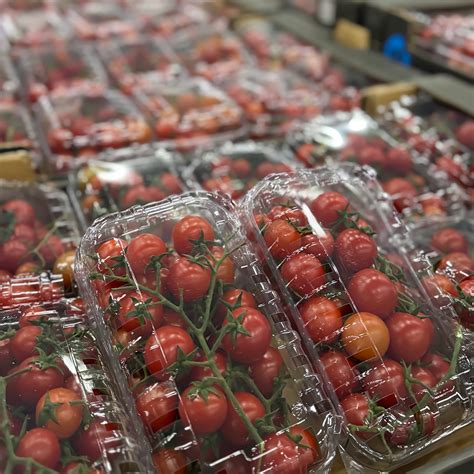 Cherry Tomatoes – Neta – The queen of freshness. Fruit and Vegetables ...