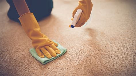 How to get makeup out of carpet: Mascara, lipstick and more | Woman & Home