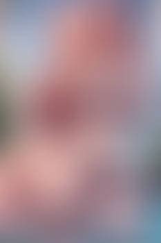 Nicole Brazzle Porn Videos