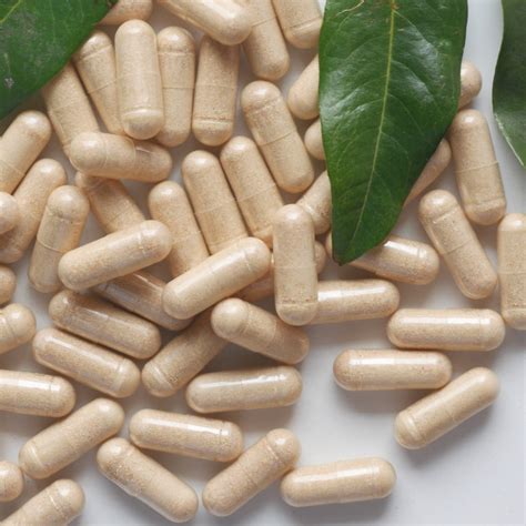 Best Fruit and Vegetable Supplements for Organic Diets – Vigorous ...