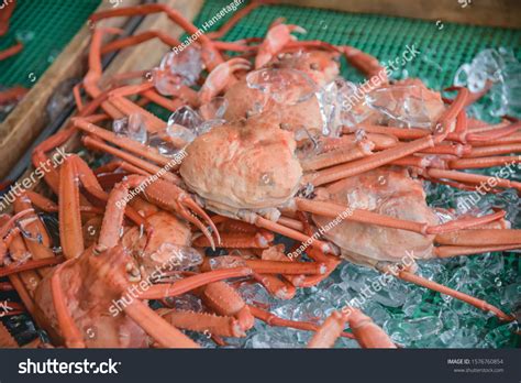 155 Opilio Crab Images, Stock Photos & Vectors | Shutterstock