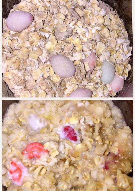 Quaker Oatmeal Dinosaur Eggs at Ola Cahoon blog