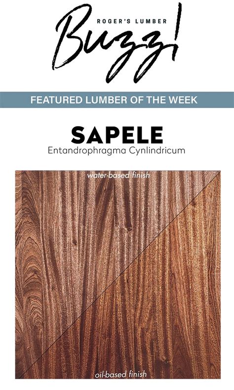 Atlantic Plywood Corporation on LinkedIn: #lumberbuzz #signaturelumber ...