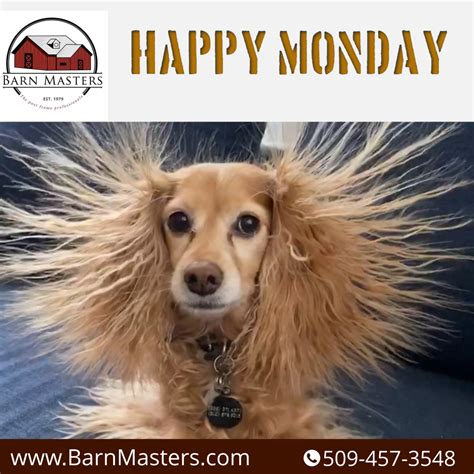 Happy Monday Funny Images