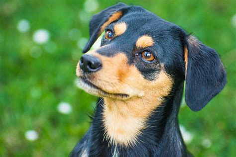 Tan+Lines+Sex+Videos Photos, Download The BEST Free Tan+Lines+Sex+Videos Stock Photos & HD Images