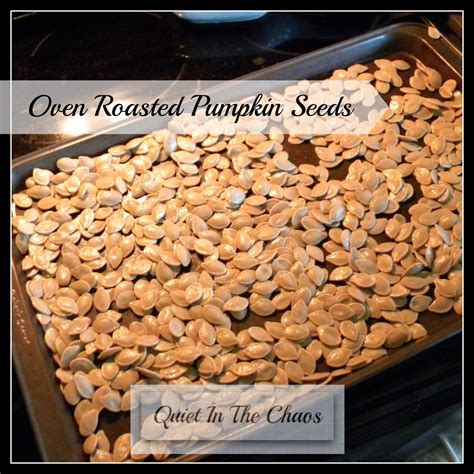 {easy} Oven Roasted Pumpkin Seeds - Quiet In The Chaos