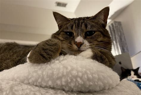 Anonteacher - Best photos on ksp.org.tw