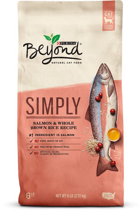 [200+] Salmon Png Images | Wallpapers.com