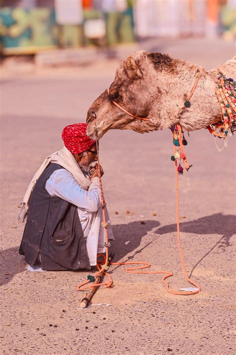 Indian Men Penies Photos, Download The BEST Free Indian Men Penies ...