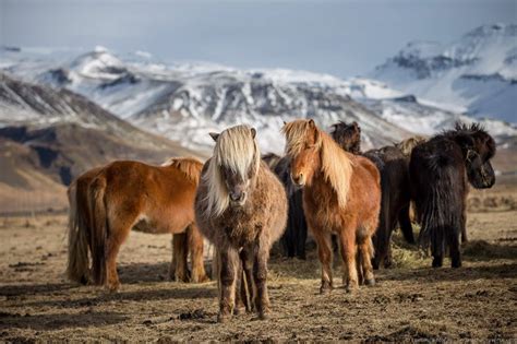 The Best Photography Locations in Iceland - Finding the Universe