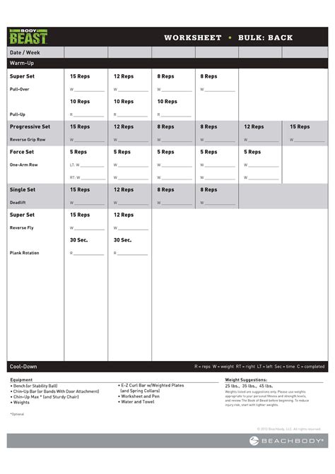 Body Beast Workout: Body Beast Workout-DVD Bulk Back