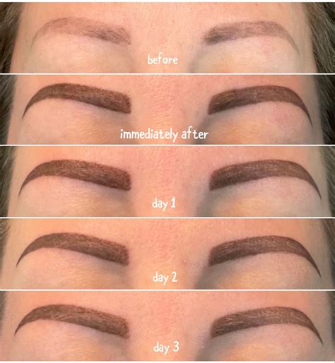 Ombré Powder Brows Healing Process | Eyebrow tattoo, Tattoo healing ...