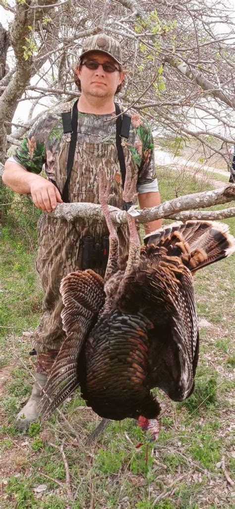 Rio Grande Turkey - John P. Boerschig Ranches