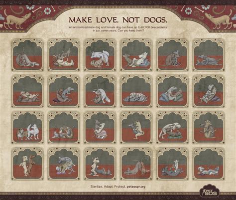 Top 10 karma sutra positions - arcticbesta