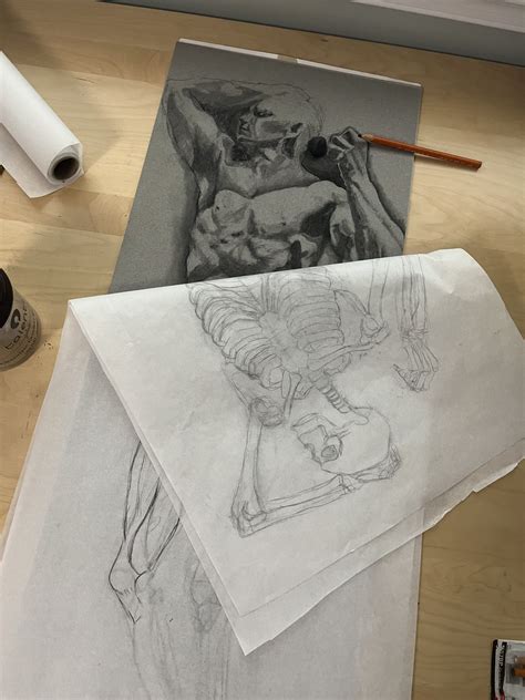 Anatomy Drawing at the NGA (Nov 16-17, 2024) - Falls Church Arts