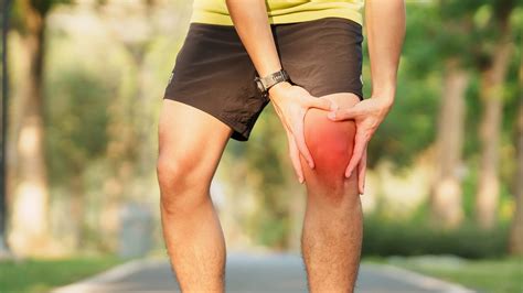 Patellar Tendinopathy: Signs, Symptoms, Advanced Treatment, and Prevention - ANF Academy