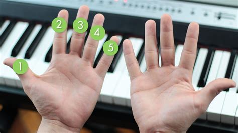 Piano Keyboard Finger Placement Chart at George Ochoa blog