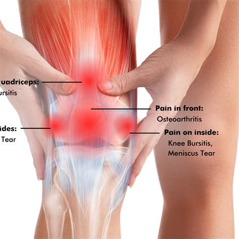 inner knee pain when bending