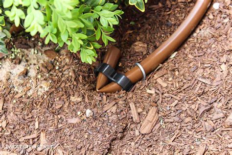 How To Straighten Drip Irrigation Tubing at Elvira Pierce blog
