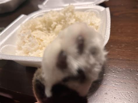 Egg and beans : r/shittyfoodporn