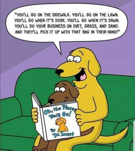 Pin by A View To Remember B&B on Canine fun | Dog jokes, Dog comics, Funny