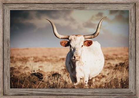 Longhorn canvas western aesthetic cow wall art longhorn print western ...