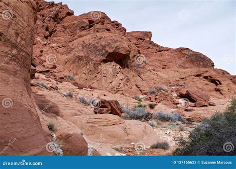 Calico Basin, Red Rock Conservation Area, Nevada USA Stock Photo ...