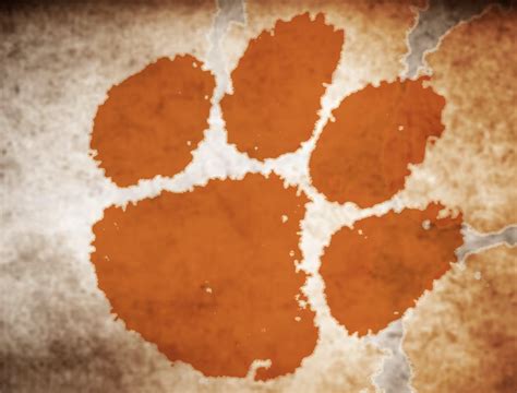 Clemson Fall Classic - Shows - 2023 - Stevie Bagdasarian Photos