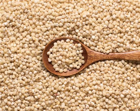 Organic Whole Grain Sorghum Buy in Bulk from Food to Live