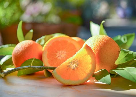 What Does Smell Like Orange