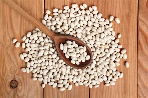 12 Cannellini Beans Substitutes for Cooking - Tastylicious