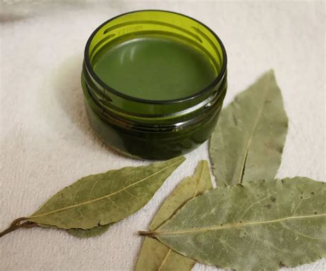 Comment parfumer une maison avec des feuilles de laurier ? Les astuces ...