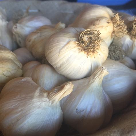 Make Your Own Garlic Powder - Natural soaps and skincare