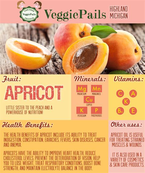 9 health benefits of dried apricots how many to eat in a day – Artofit
