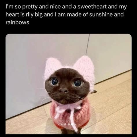 I'm so pretty and nice and a sweetheart and my heart is rlly big and I ...