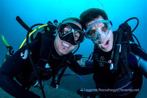 Bucear en Costa Rica | Tours de buceo y cursos PADI | El mejor buceo en ...