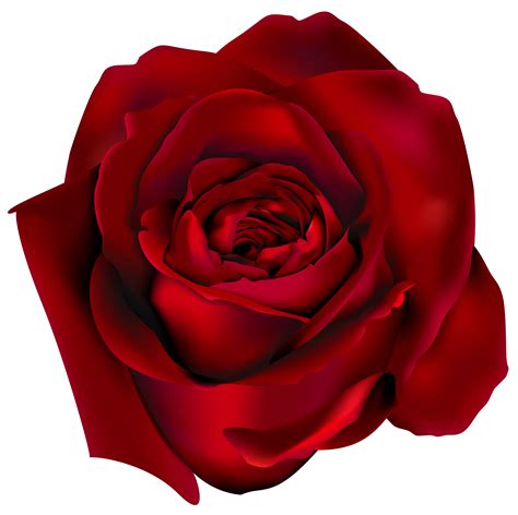 Red Roses Clipart Free at Mildred Pryor blog