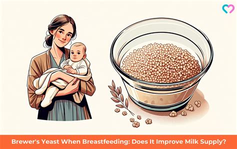 Brewer's Yeast When Breastfeeding: Does It Improve Milk Supply?