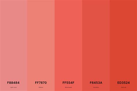 25+ Best Coral Color Palettes with Names and Hex Codes – CreativeBooster