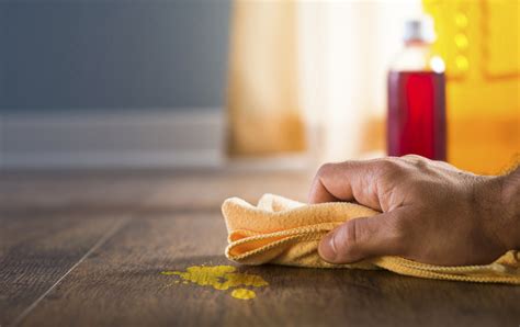 How To Remove Spilled Paint From Hardwood Floors | Floor Roma