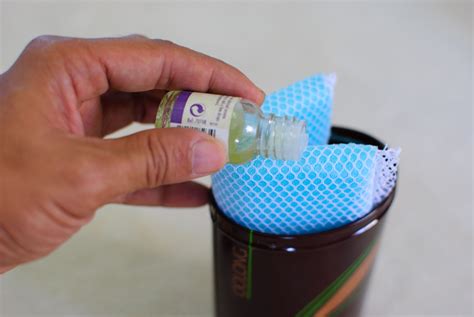 3 Ways to Make Natural Outdoor Fly Repellent with Essential Oils | Fly ...