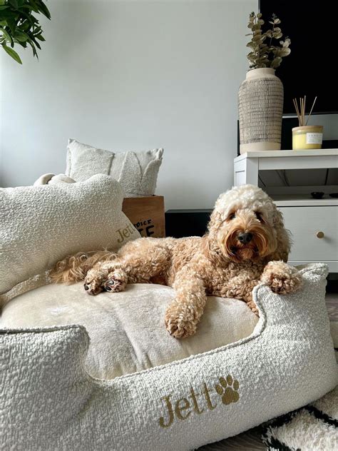Personalized dog beds online